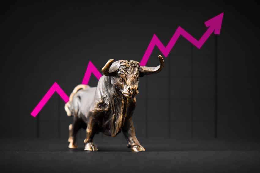 Wall St. Bull
