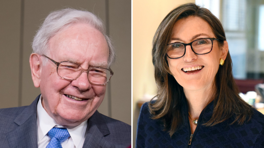 Warren Buffett, Cathie Wood stocks