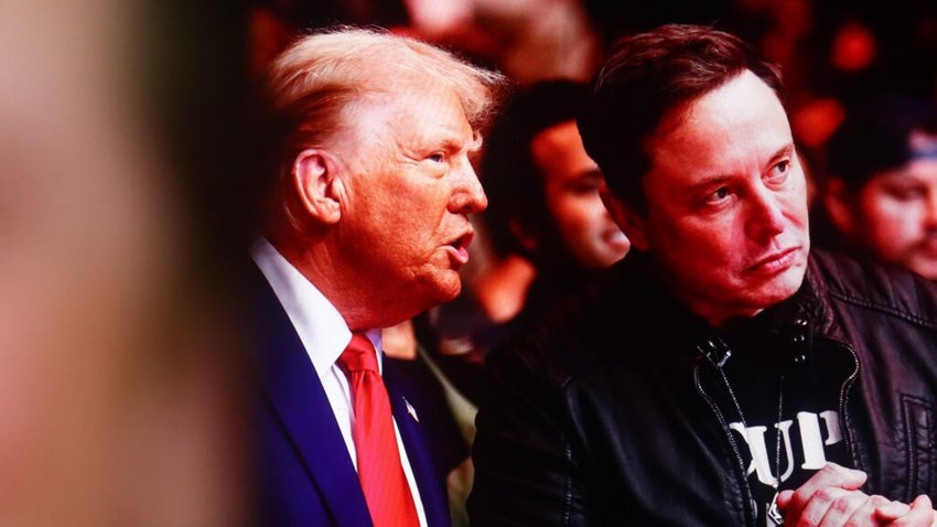 Elon Musk Donald Trump Shutterstock