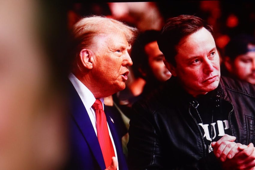 Representative Image of Donald Trump and Elon Musk