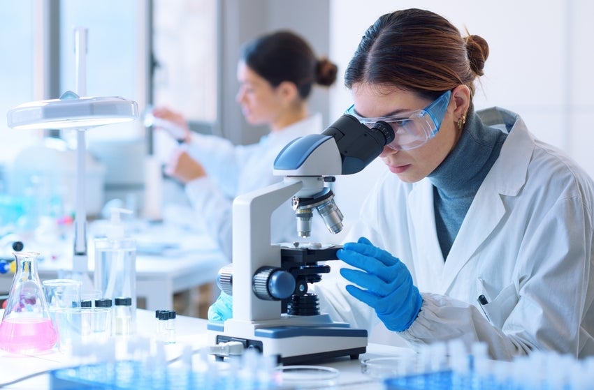 Scientists conducting research in a laboratory.