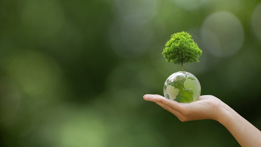 Hand holding globe with tree green background.