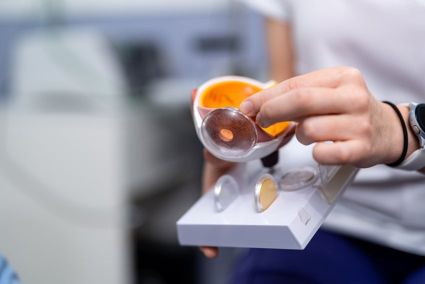 Researcher holds eyeball prosthesis for ocular prosthesis, diagnosis, etc.