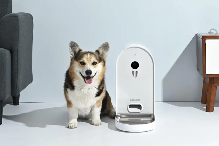 Dogness-1030-900x600-1