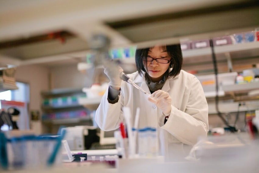 Scientist Pipetting at a Biomedical Laboratory