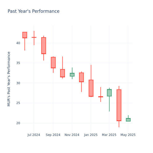Past Year Chart