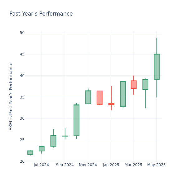 Past Year Chart