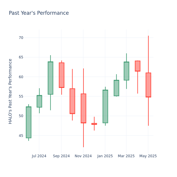 Past Year Chart