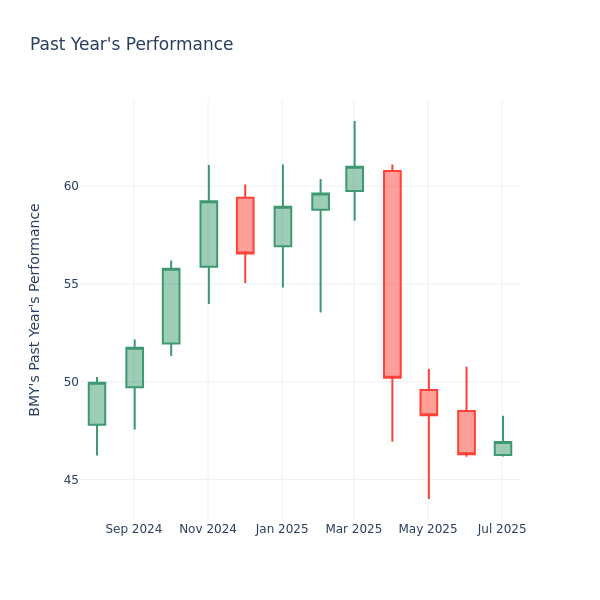 Past Year Chart