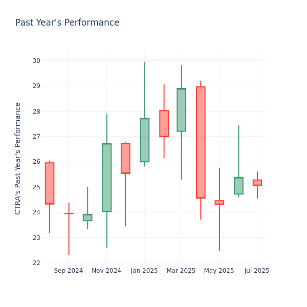Past Year Chart
