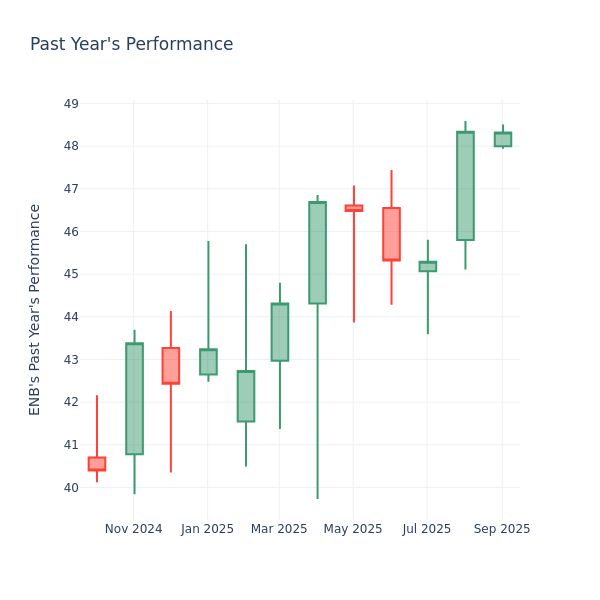 Past Year Chart