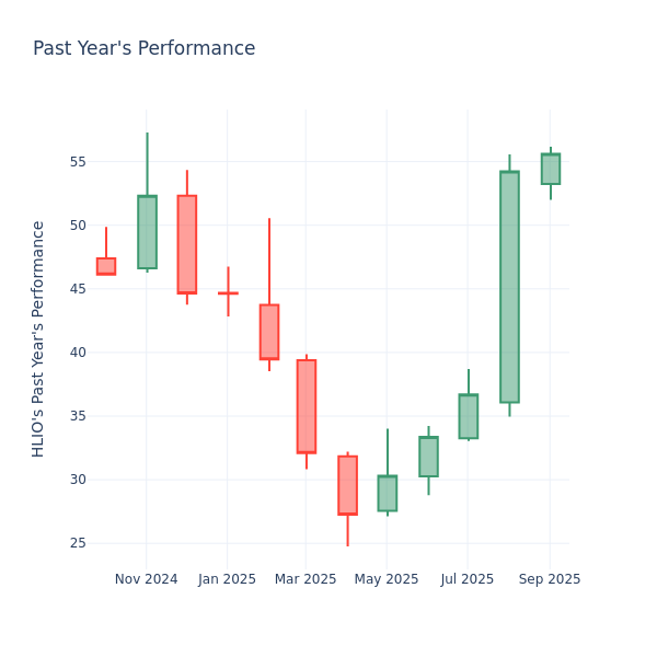 Past Year Chart