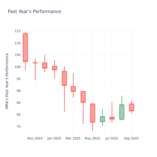 Past Year Chart