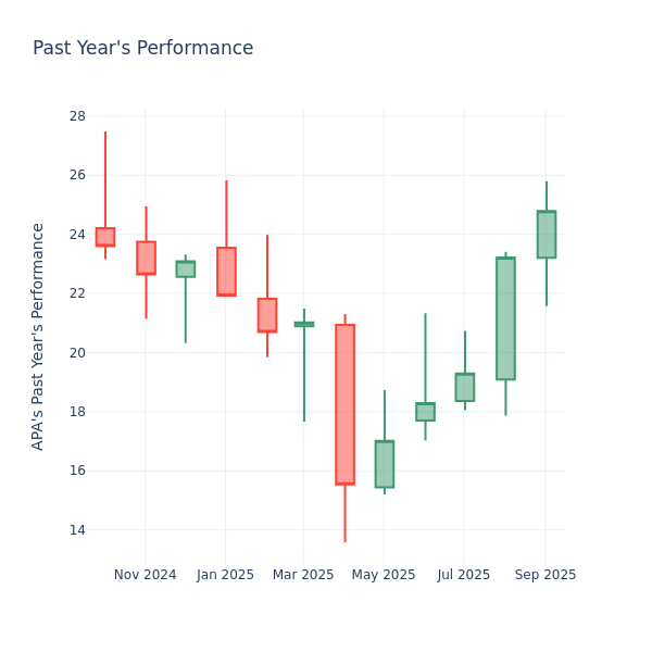 Past Year Chart