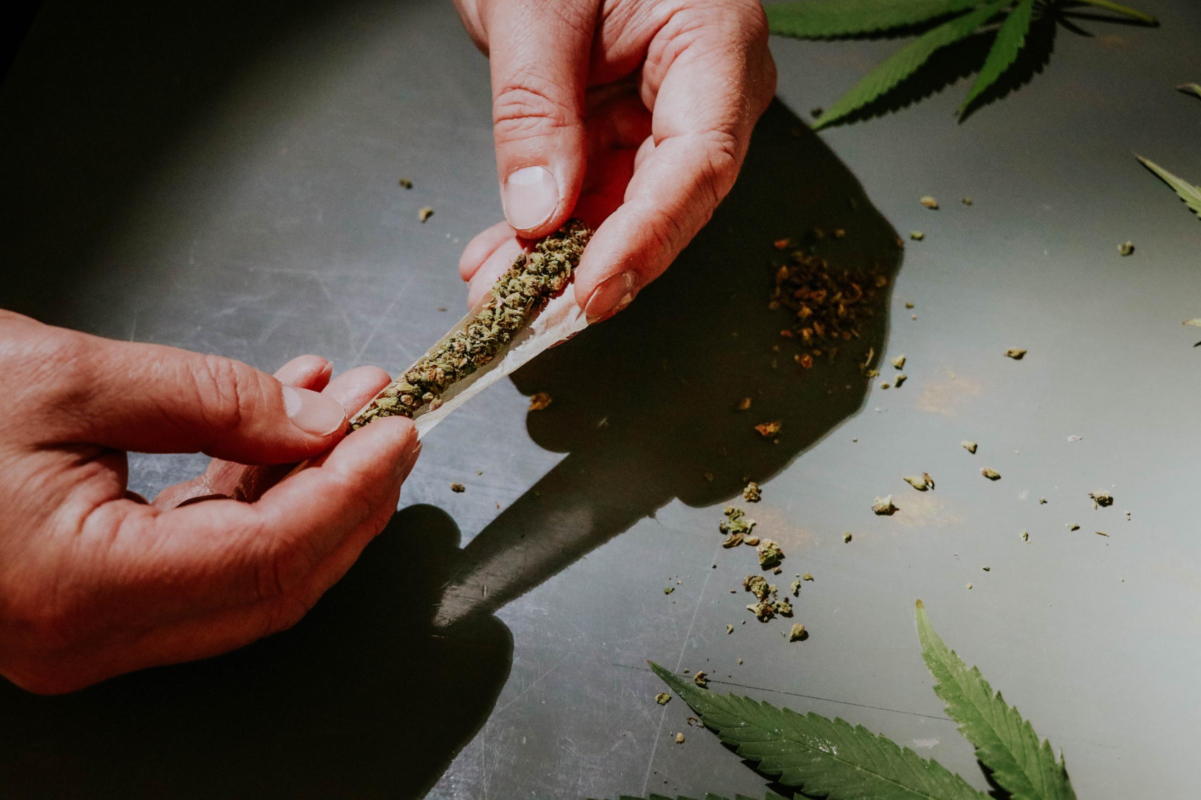 Efforts To Ban Semi-Synthetic 'Legal' Cannabis Growing Across Europe -  Benzinga