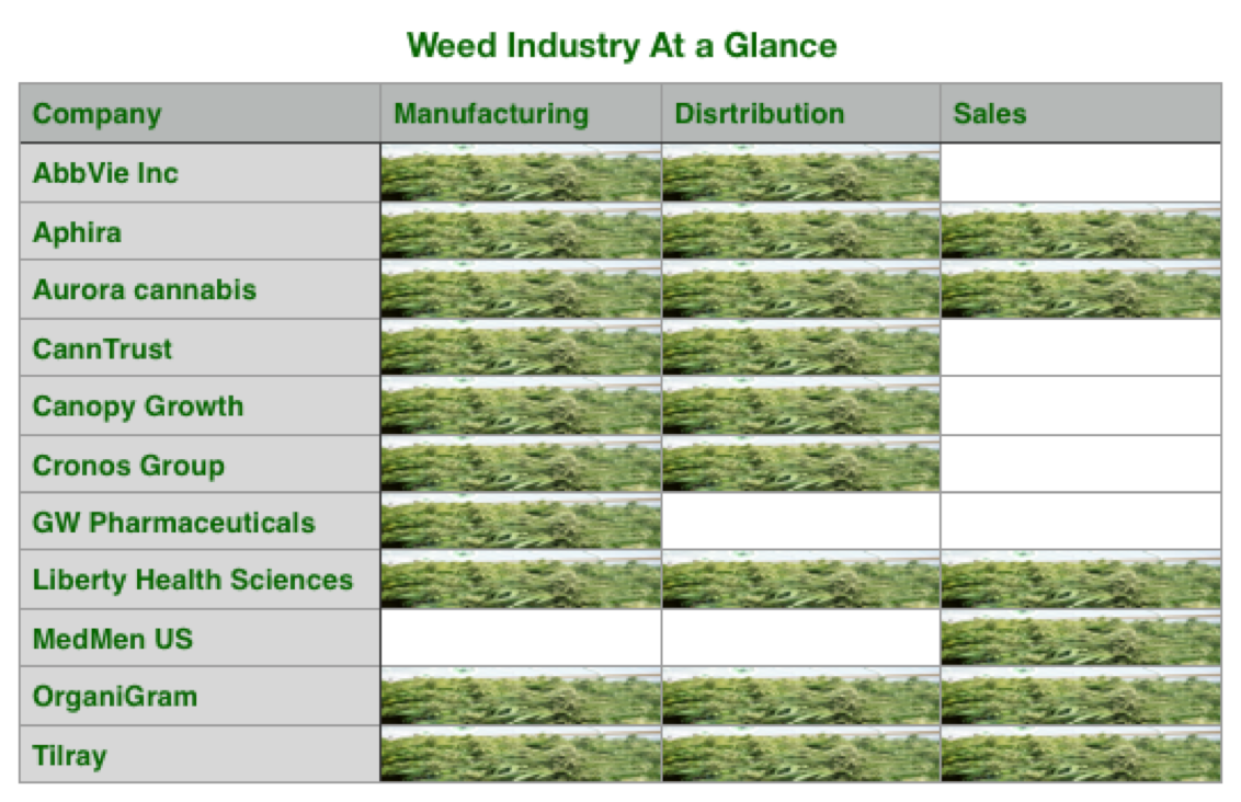 Scale Chart For Weed