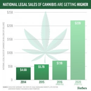 marijuana-sales-growth-300x300.jpg